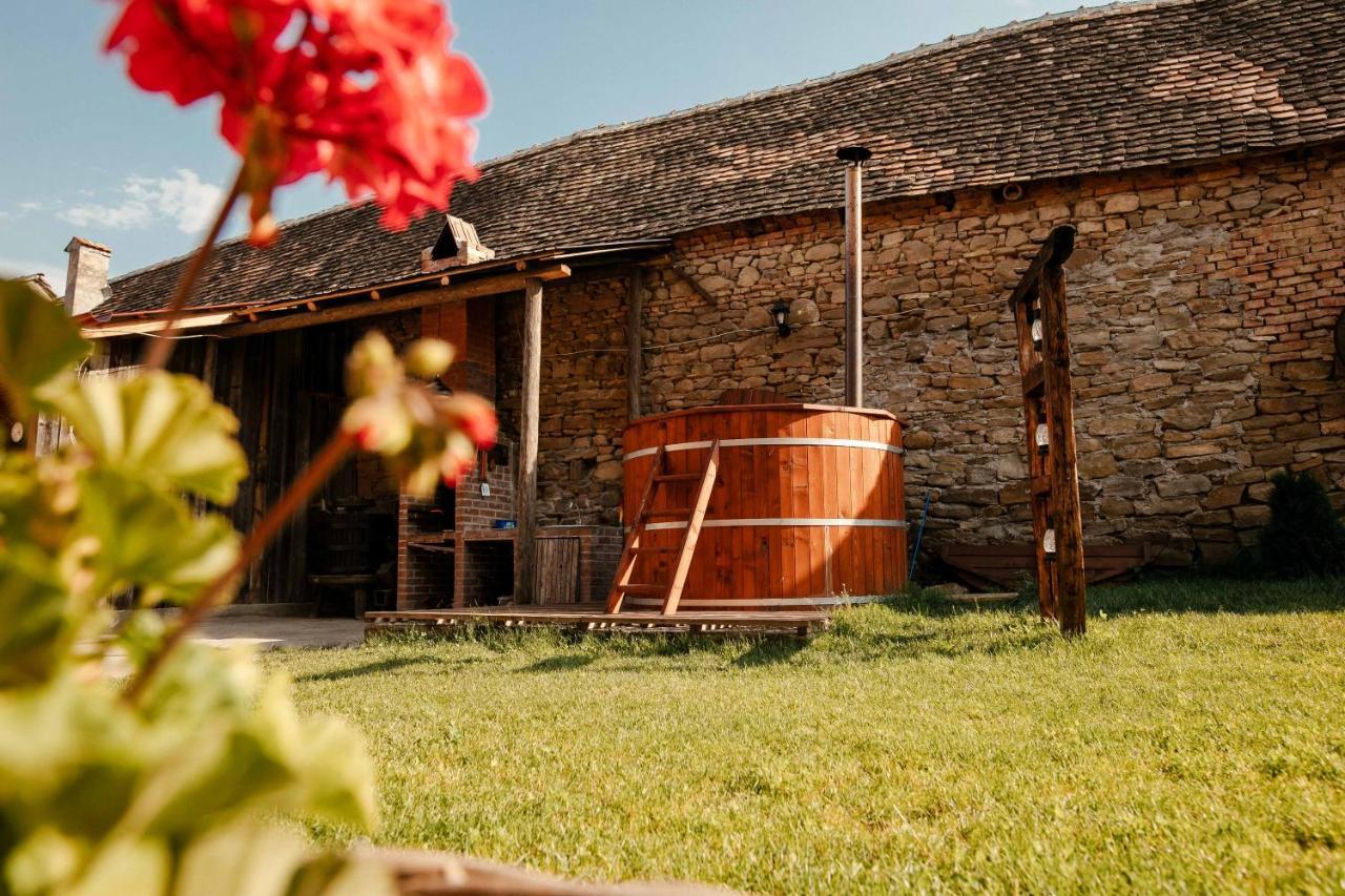 Casa Pe Valea Hartibaciului Guest House Barcut ภายนอก รูปภาพ