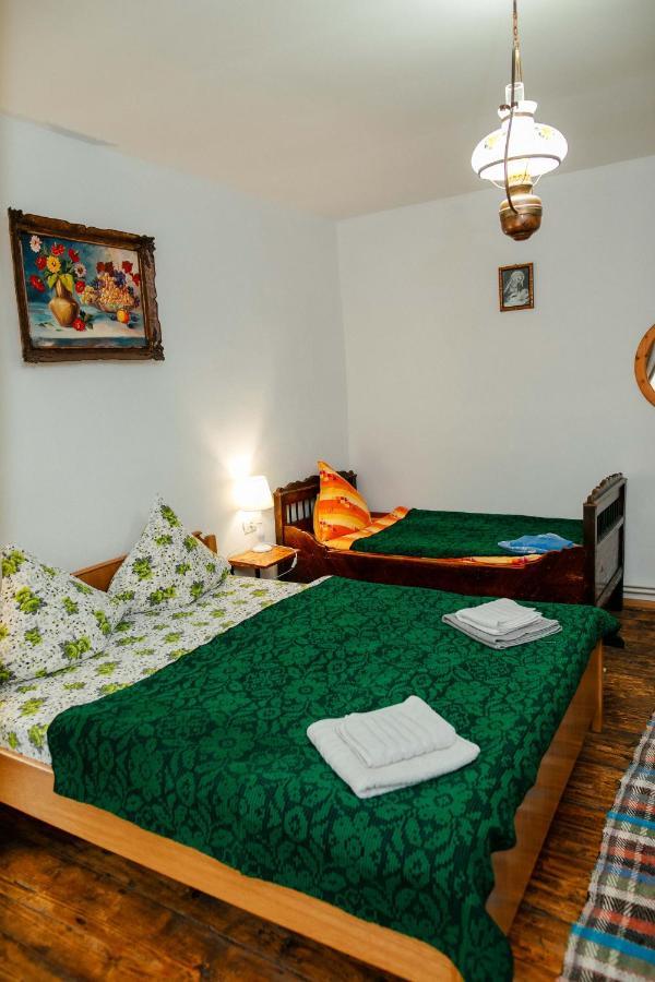 Casa Pe Valea Hartibaciului Guest House Barcut ภายนอก รูปภาพ