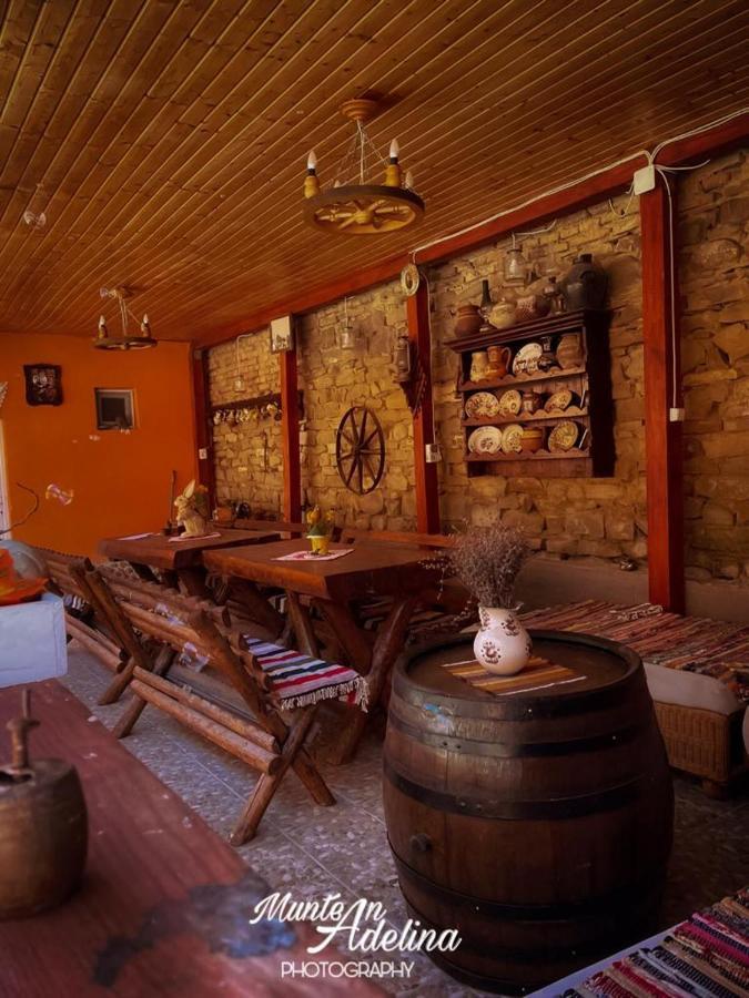 Casa Pe Valea Hartibaciului Guest House Barcut ภายนอก รูปภาพ