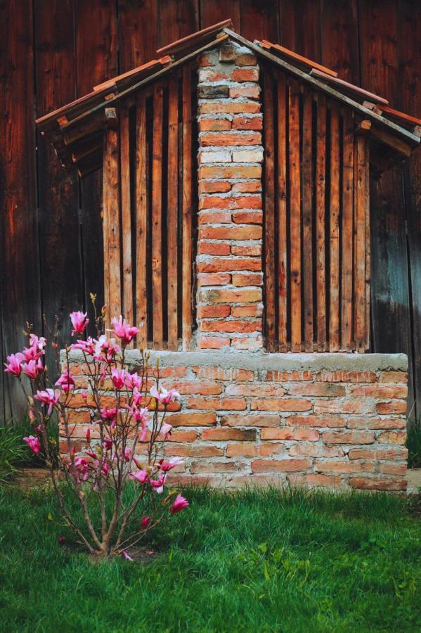 Casa Pe Valea Hartibaciului Guest House Barcut ภายนอก รูปภาพ