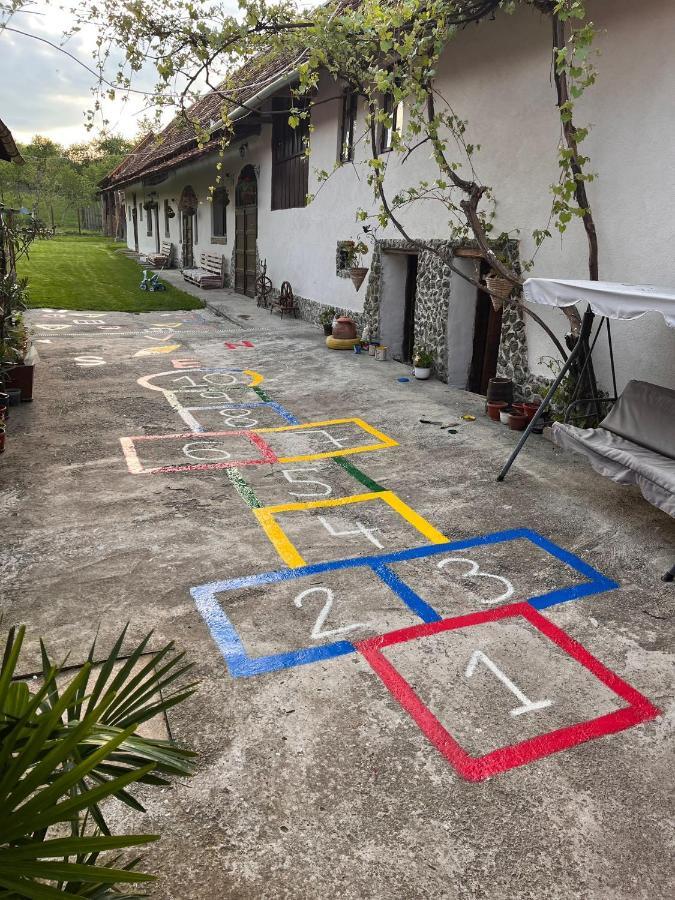Casa Pe Valea Hartibaciului Guest House Barcut ภายนอก รูปภาพ