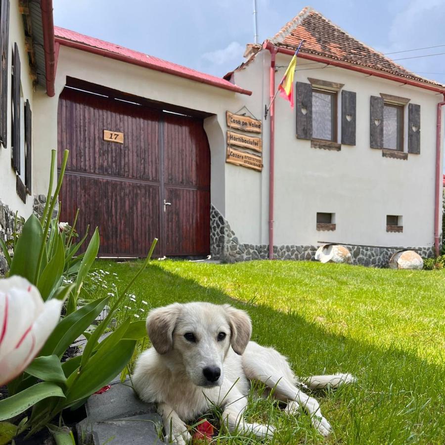 Casa Pe Valea Hartibaciului Guest House Barcut ภายนอก รูปภาพ