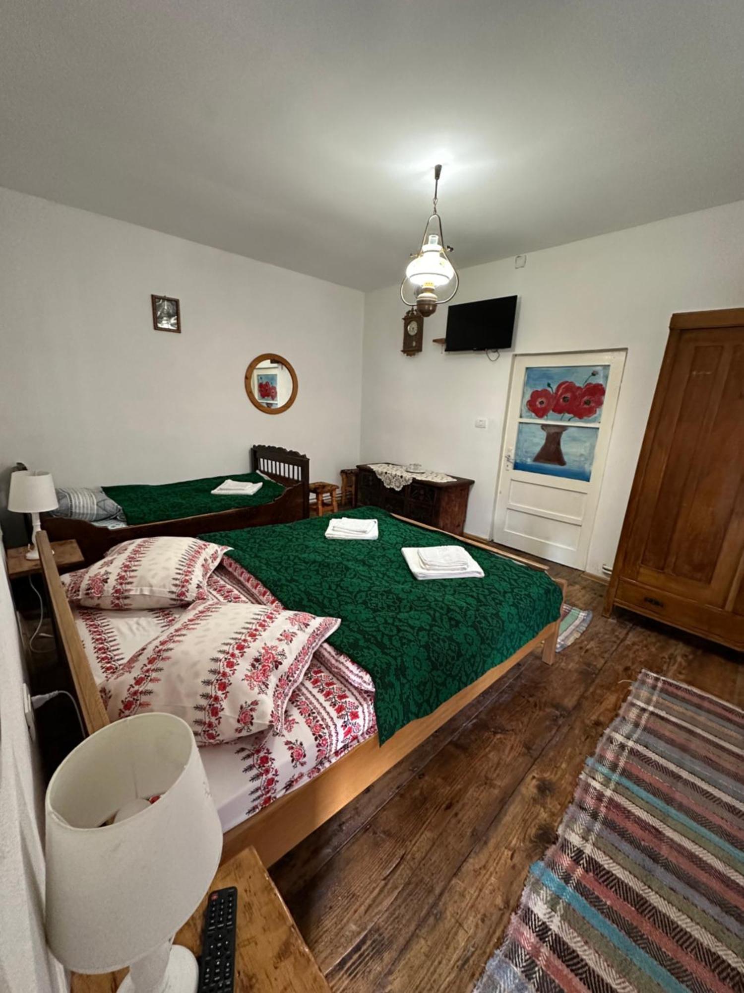 Casa Pe Valea Hartibaciului Guest House Barcut ภายนอก รูปภาพ